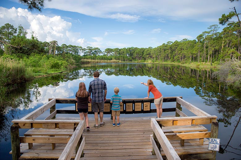 Looking for wildlife on Dauphin Island