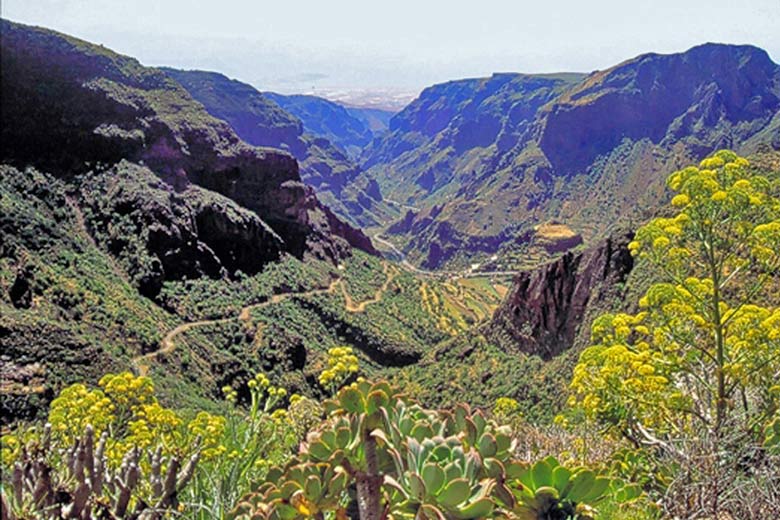 Barranco de Guayadeque, Gran Canaria