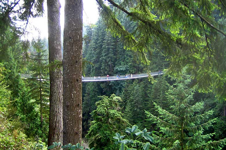 Walking across the Capilano Suspension Bridge, British Columbia