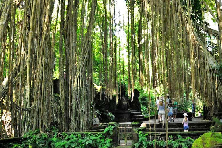 Entering Sacred Monkey Forest