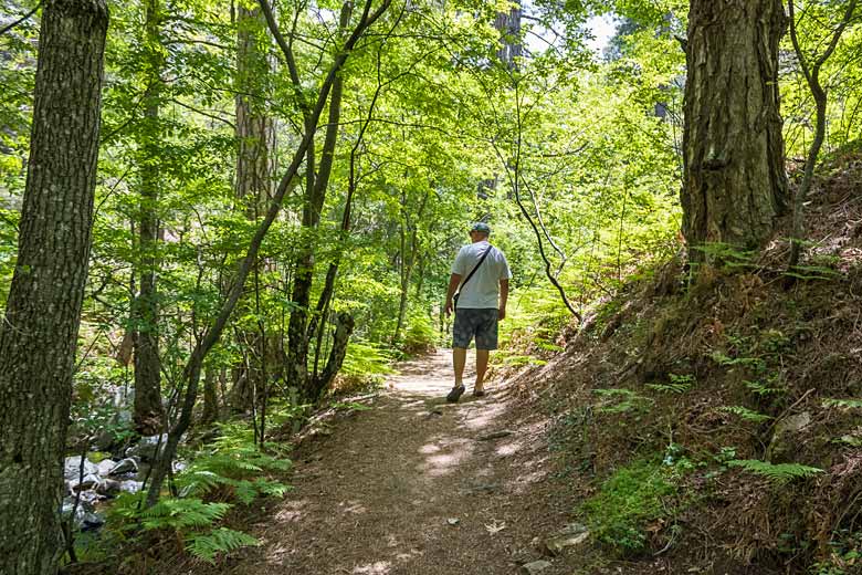 Hit the trails of the Troodos Mountains