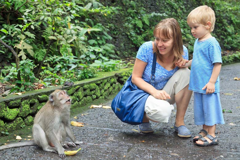 Meeting one of the monkeys