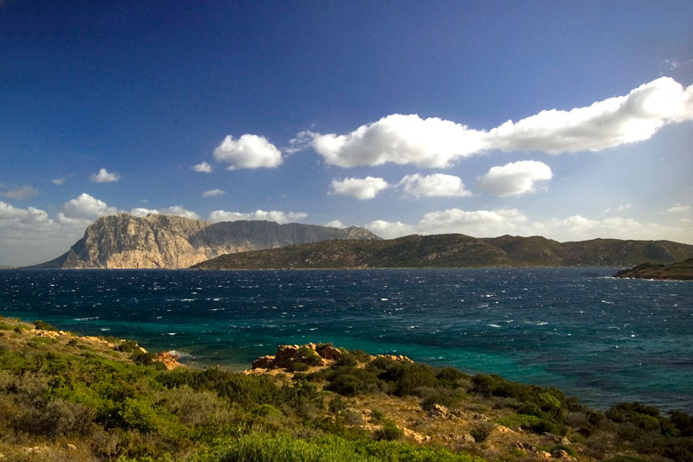 Mistral wind blowing in Sardinia