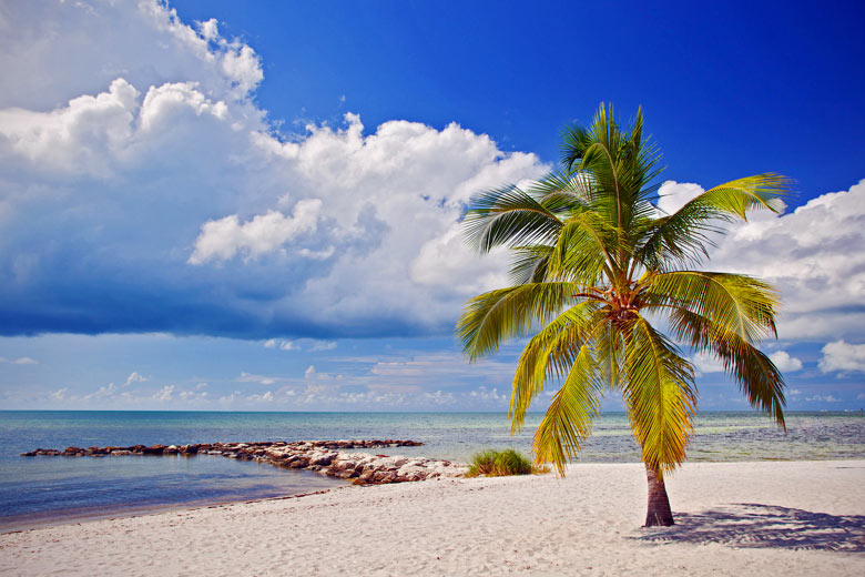 There's a lot of sunshine in Florida during the summer wet season