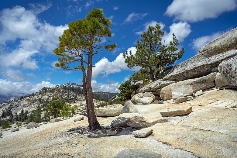 A guide to Yosemite Mariposa County