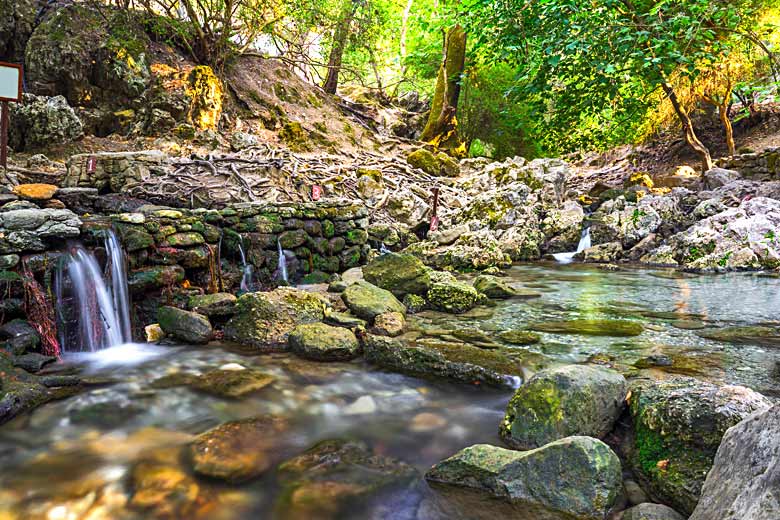 Shaded valley and stream at the Seven Springs